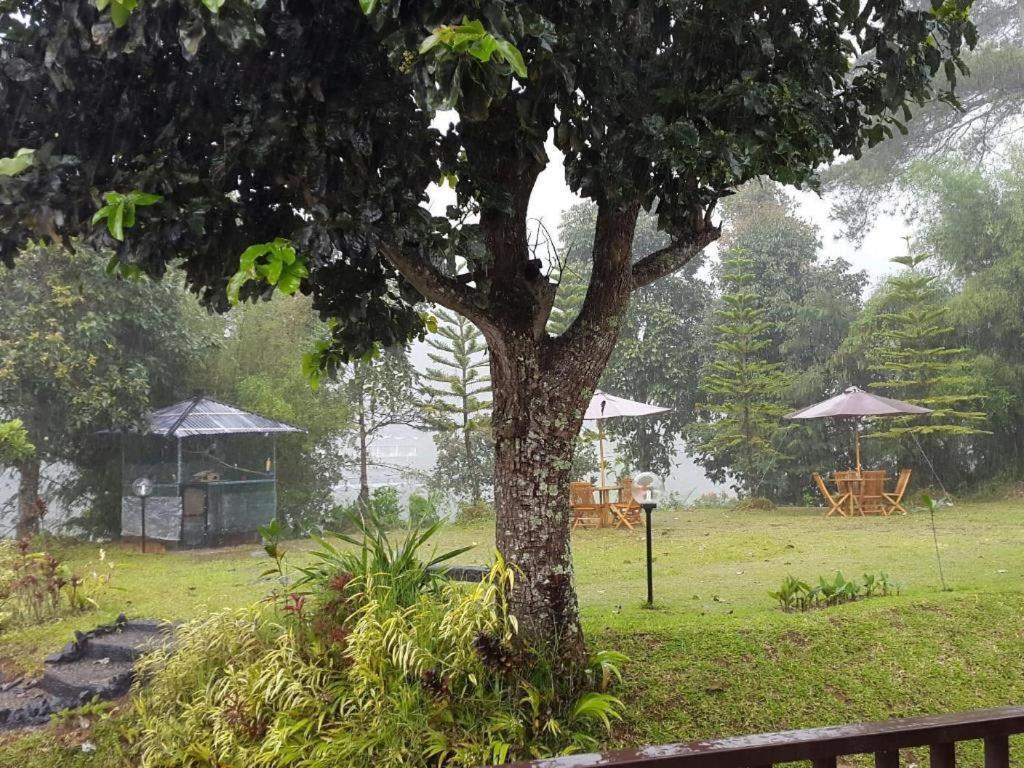 Casa Monte Rosa Puncak Exteriér fotografie